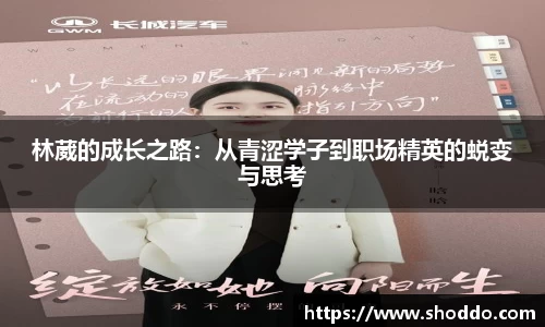 XK星空体育官方app下载